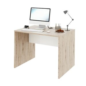 TEMPO KONDELA Rioma Typ 12 písací stôl san remo / biela